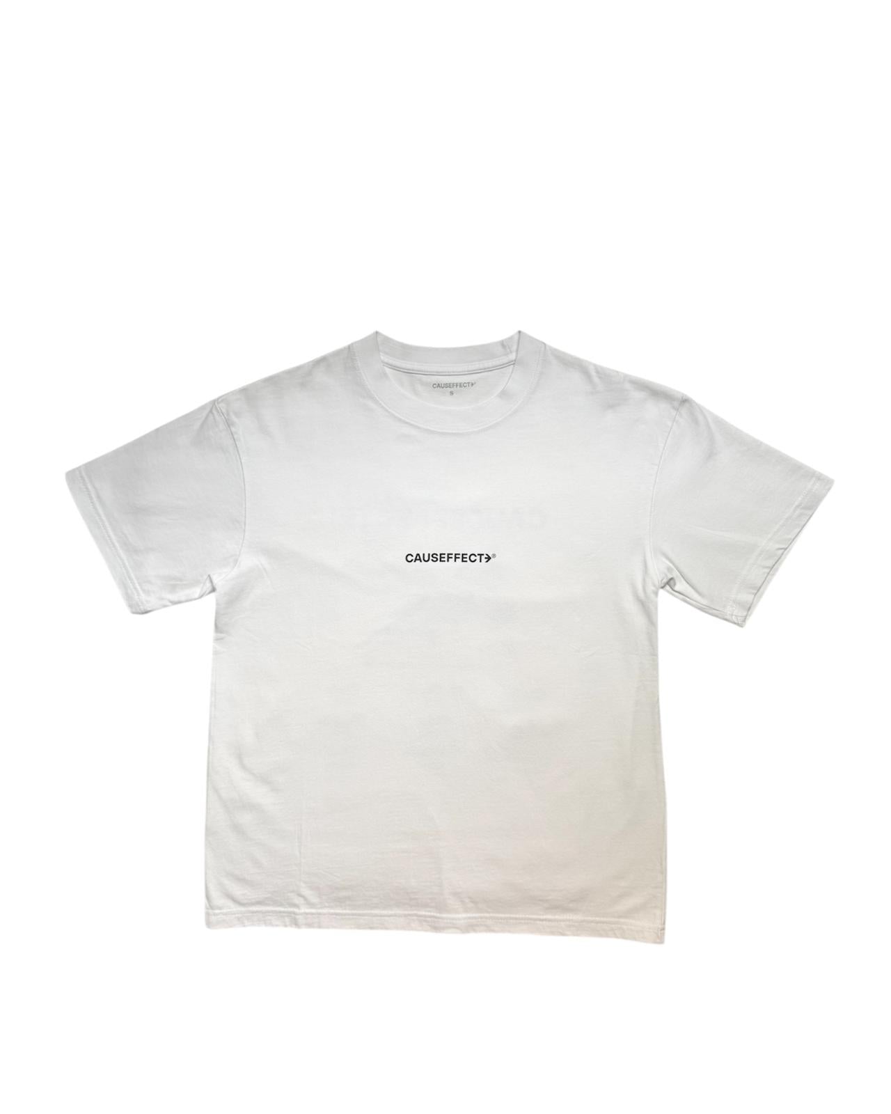 Tee Airplane destinations