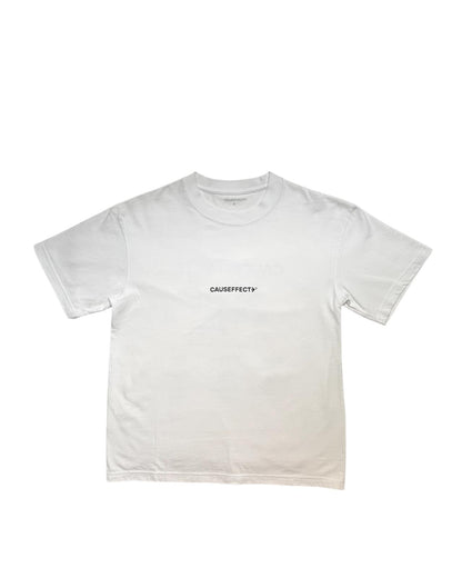 Tee Airplane destinations