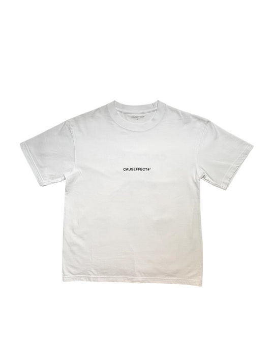 Tee Airplane destinations